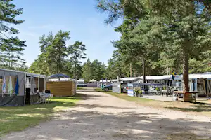 Campingplatz mit Wohnwagen und Vorzelten, gepflasterter Fahrgasse und Sitzgruppen zwischen hohen Nadelbäumen.
