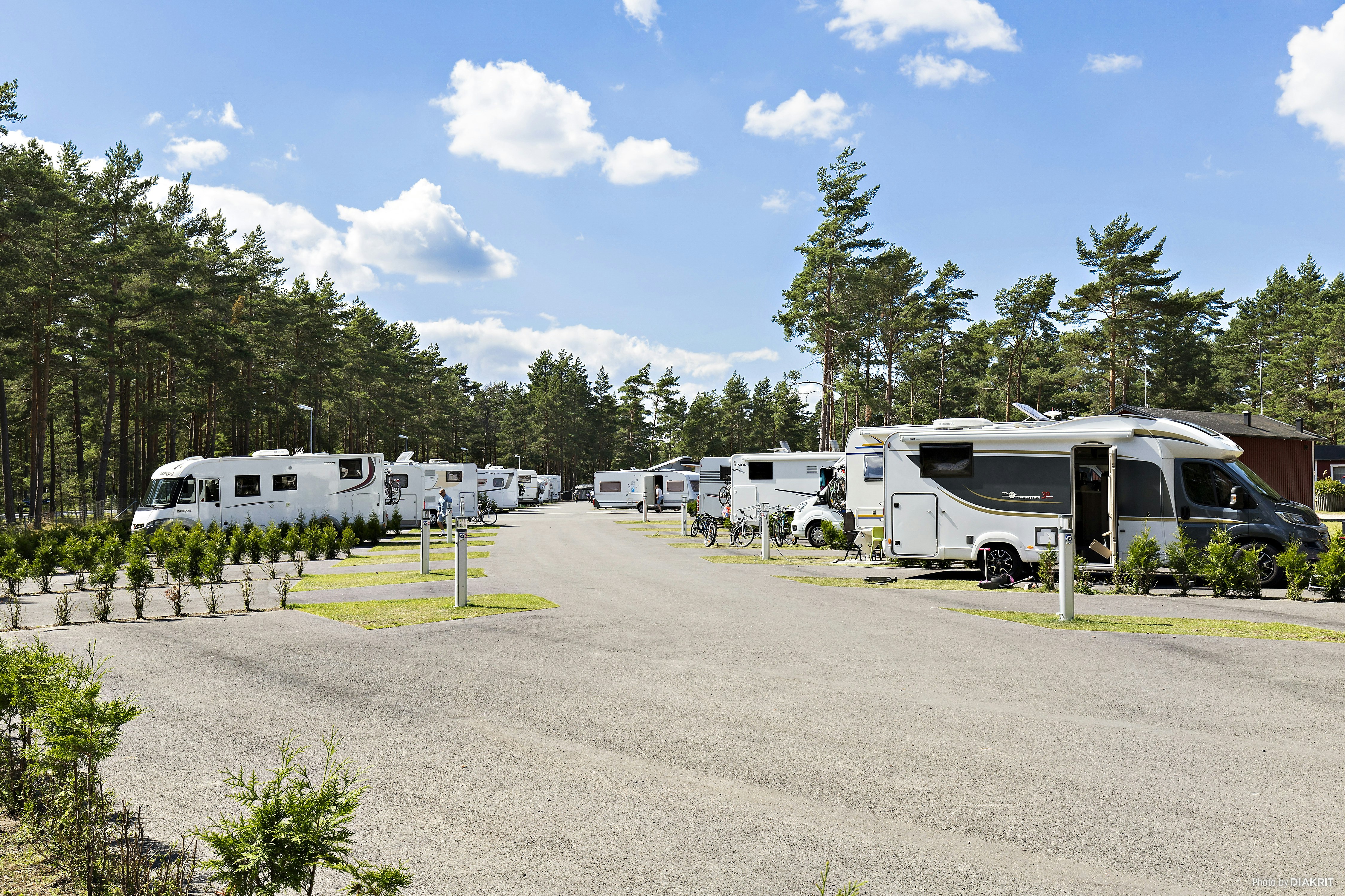 Wohnmobilstellplätze auf einem Campingplatz, mehrere weiße Fahrzeuge entlang der Straße, Hecken und Bäume am Rand.