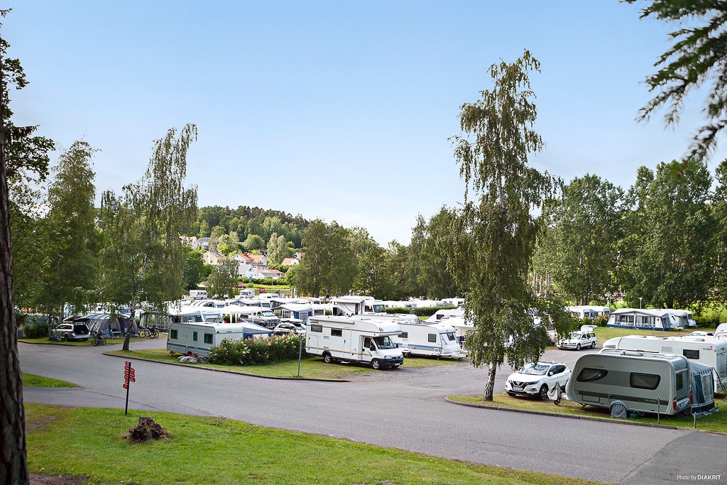 Wohnmobile und Caravans auf einem Campingplatz, umgeben von Rasen, Bäumen und einer breiten Zufahrtsstraße.