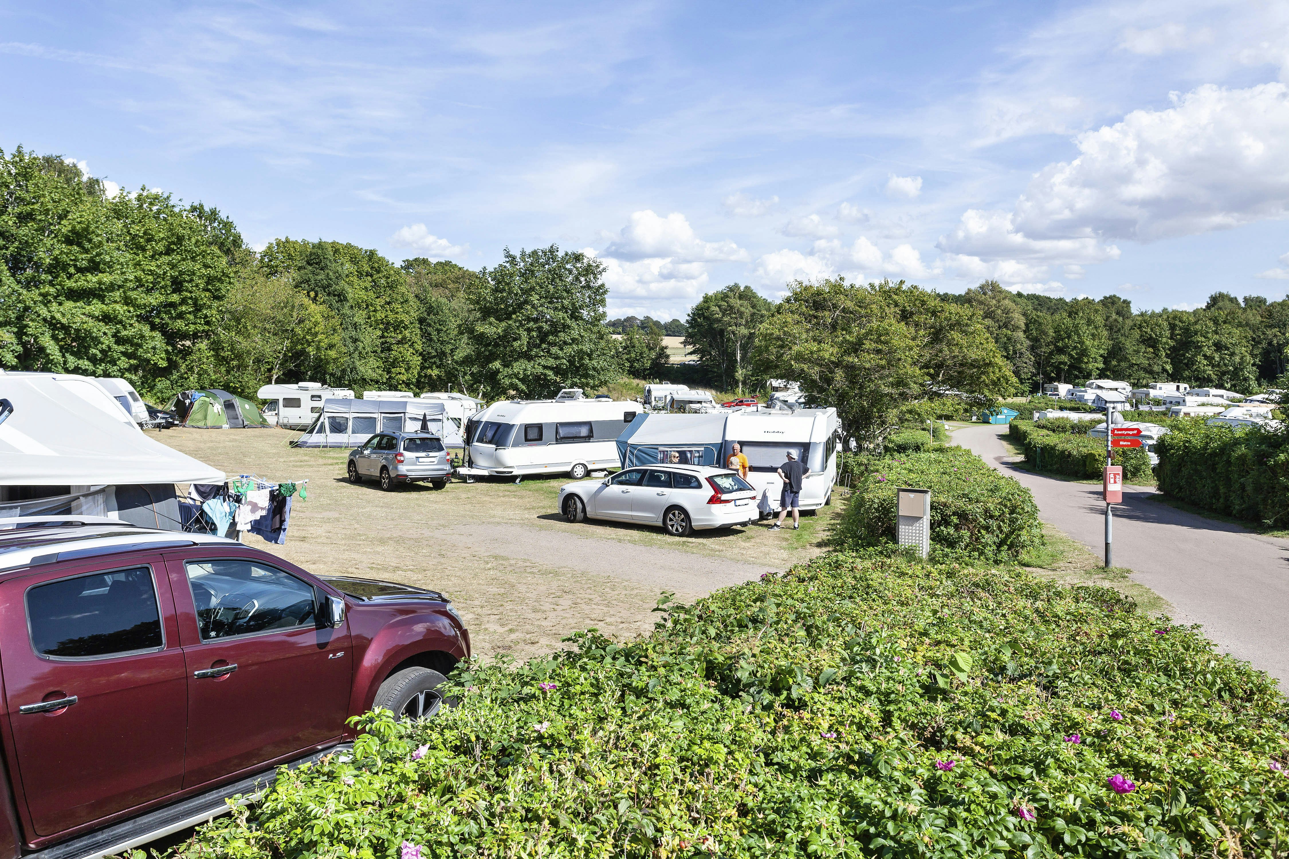 Campingplatz mit Stellplätzen, Wohnmobilen und Autos, Blick über einen Kiesweg und Hecken mit Blumen zum Hintergrund.