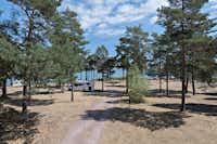First Camp Oknö - Wohnwagenstellplatz und Zeltplatz zwischen den Bäumen auf dem Campingplatz