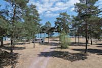 First Camp Oknö - Wohnwagenstellplatz und Zeltplatz zwischen den Bäumen auf dem Campingplatz