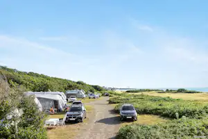 First Camp Torekov-Båstad - Blick auf die Stellplätze im Grünen