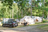 First Camp Torekov-Båstad - Glamping-Zelte auf dem Campingplatz umgeben von Bäumen
