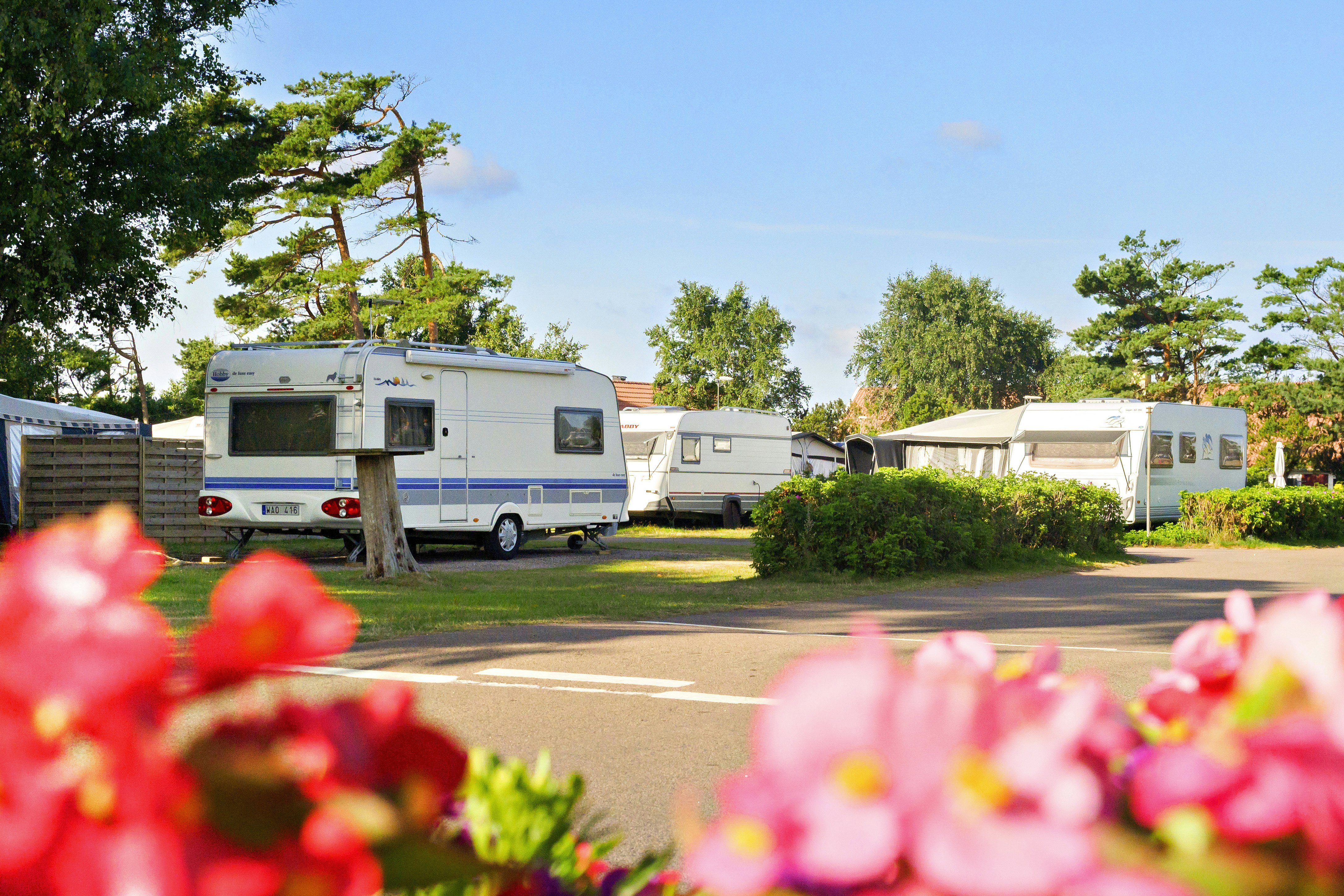 Wohnwagen und Wohnmobil auf einem Campingplatz, Blick auf Stellplätze mit Rasen, Hecken und Bäumen bei Tageslicht.