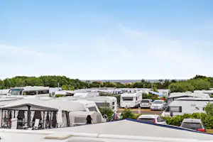 First Camp Tylösand - Wohnwagenstellplätze zwischen den Bäumen auf dem Campingplatz