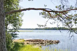 Seeufer mit Gras, Steinkante und Baumstämmen im Vordergrund, dahinter ruhiges Wasser und bewaldete Uferlinie.