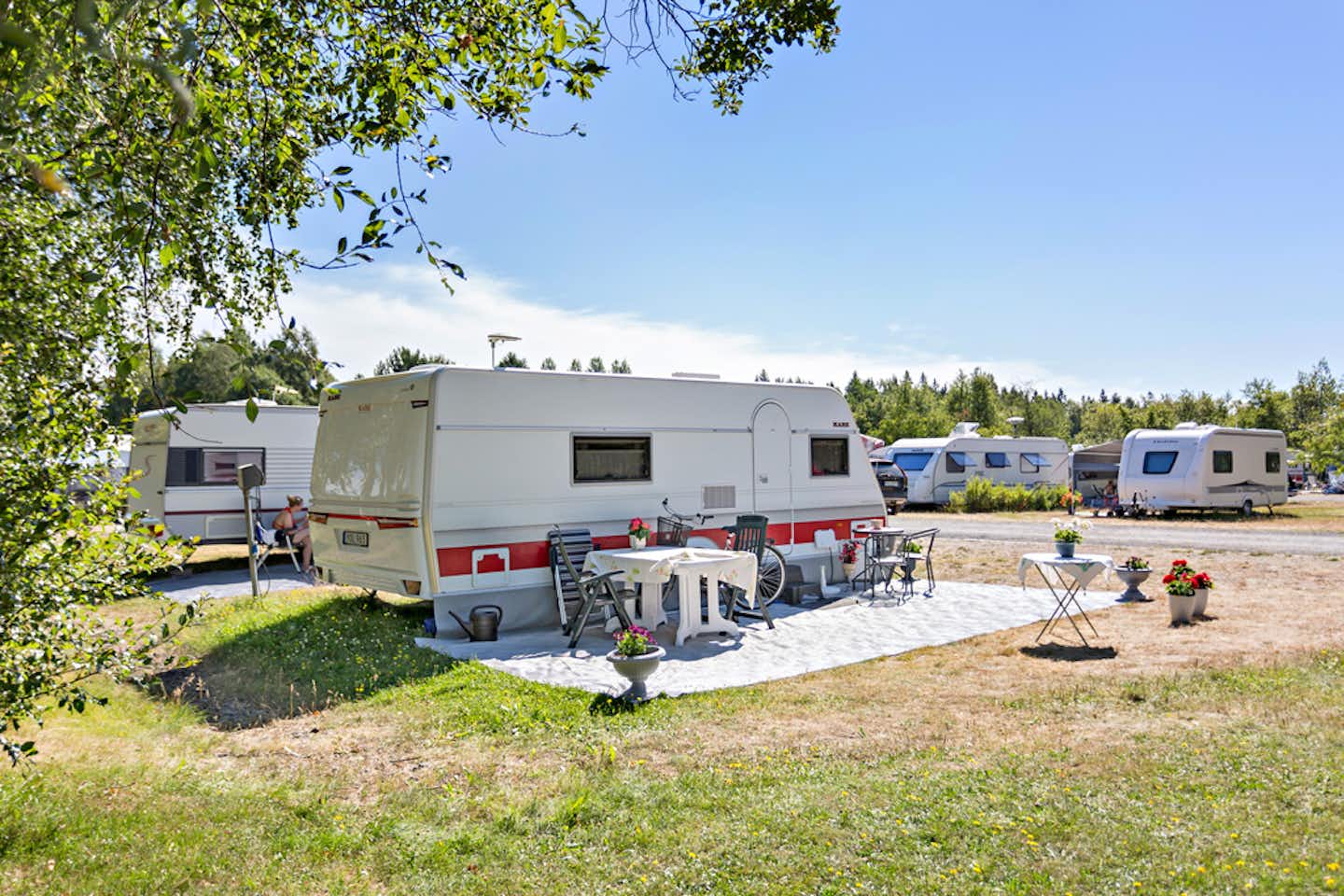 First Camp Umeå - Wohnwagenstellplätze zwischen den Bäumen auf dem Campingplatz