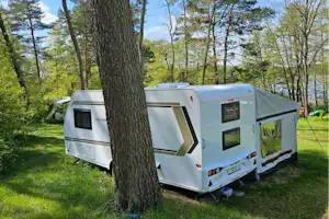 FKK Campingplatz am Rätzsee FKK Campingzeit am Rätzsee - Standplätze zwischen den Bäumen auf dem Campingplatz