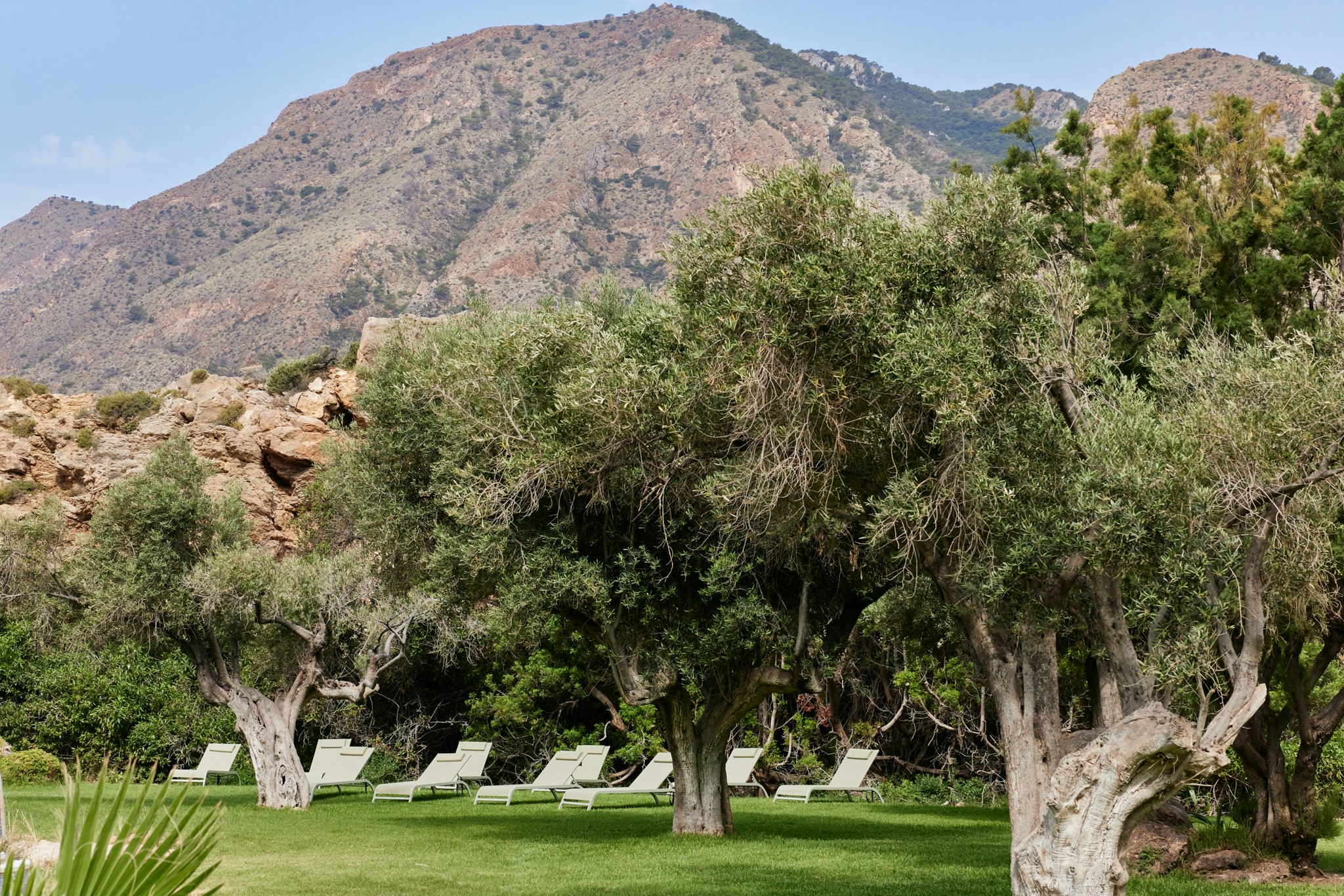 FKK-Camping El Portús - Liegewiese am Pool des Campingplatzes