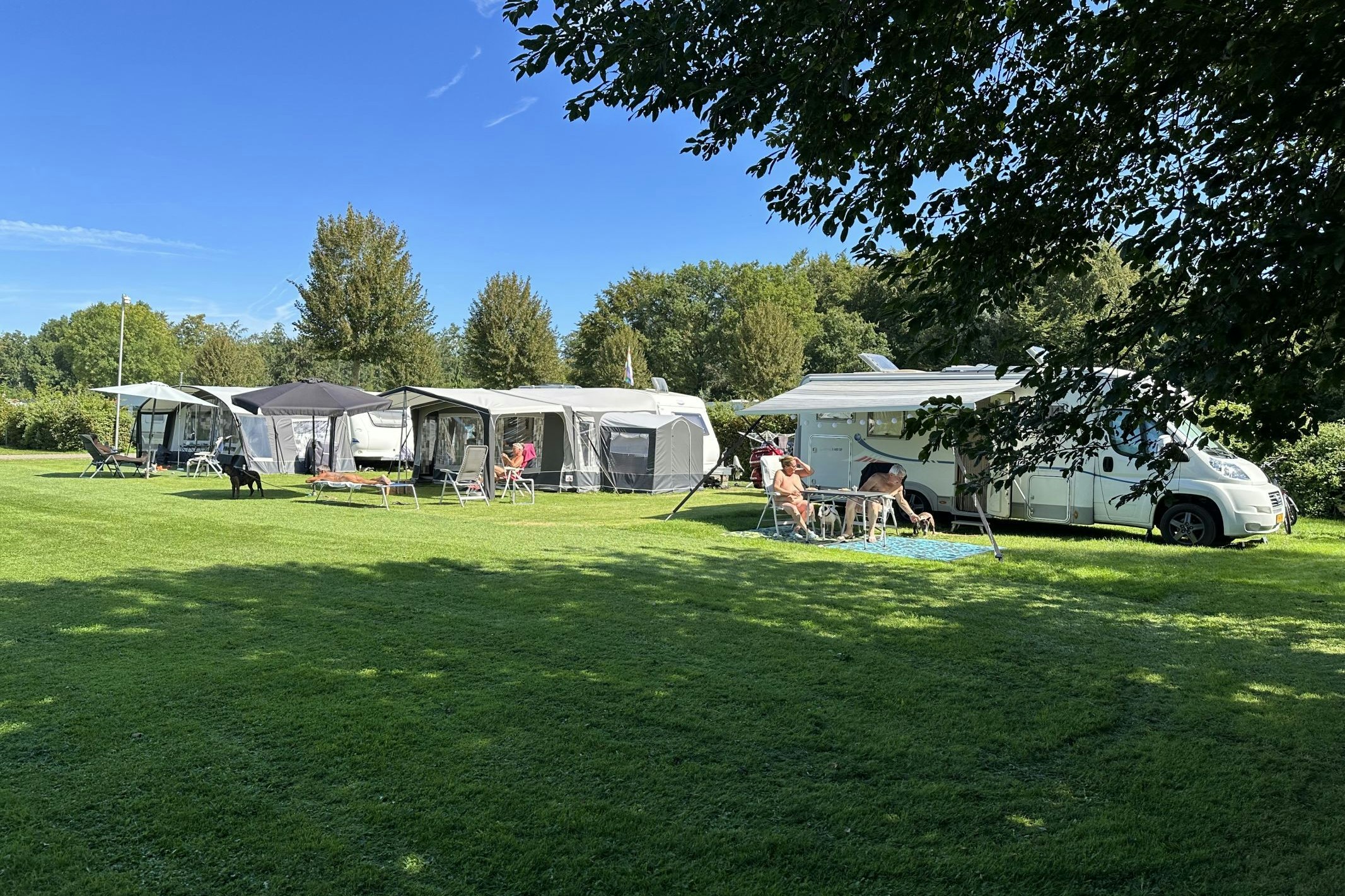 FKK Camping Flevo-Natuur - Standplätze auf der Wiese auf dem Campingplatz