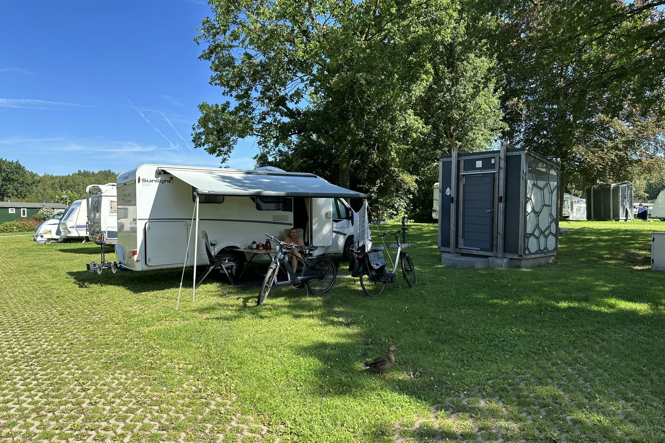 FKK Camping Flevo-Natuur - Standplatzwiese auf dem Campingplatz