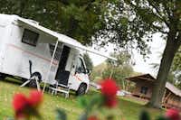 FKK Camping Flevo-Natuur - Stellplaetze auf der Wiese