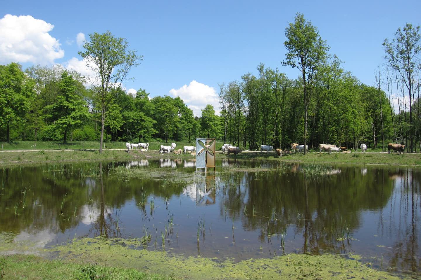 FKK Camping Flevo-Natuur - Teich auf dem Campingplatz