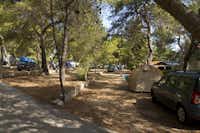 FKK-Camping Nudist -  Campingbereich für Zelte und Wohnwagen im Schatten der Bäume