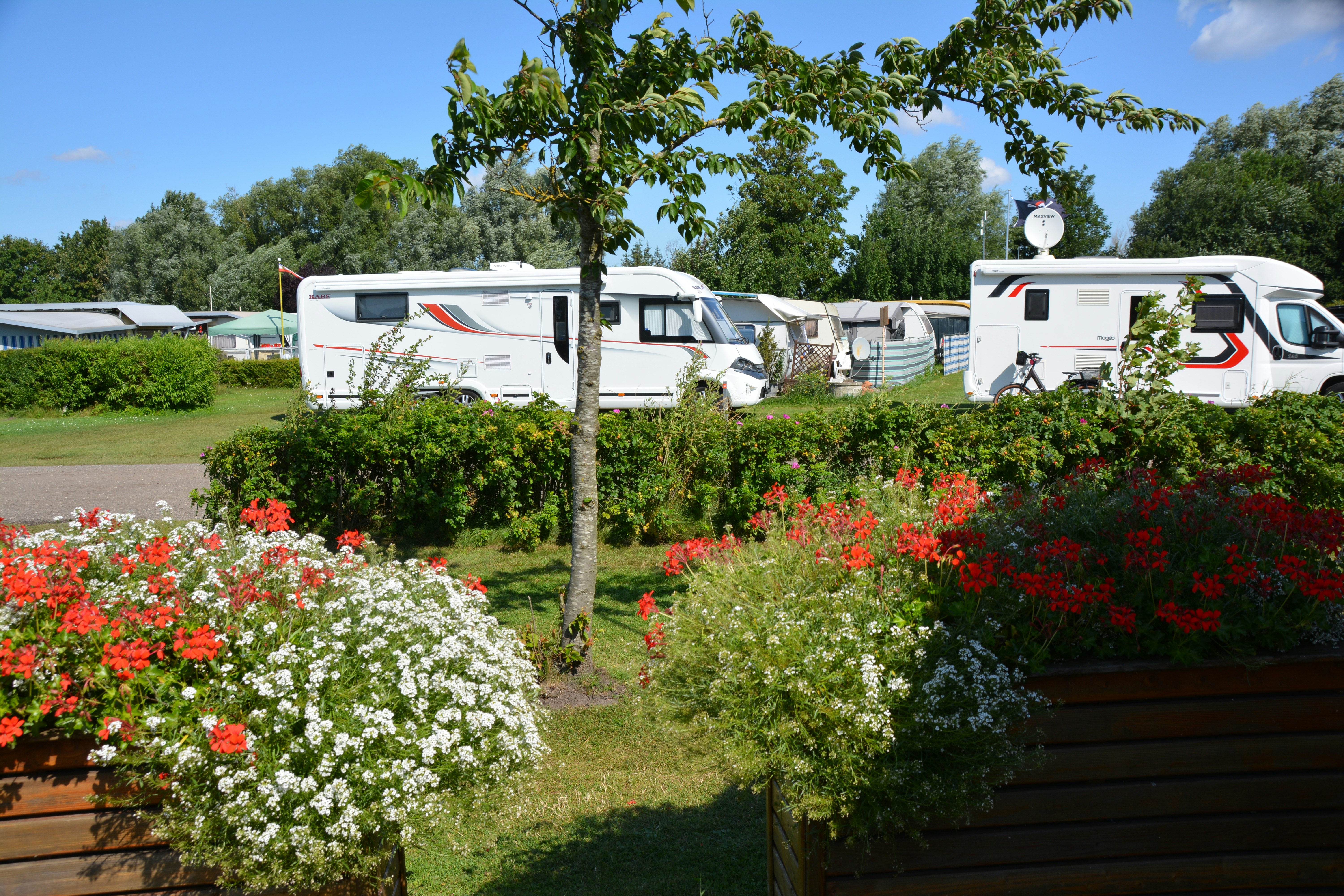 FKK Camping Ostsee Rosenfelder Strand - Standplätze auf dem Campingplatz