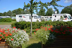 FKK Camping Ostsee Rosenfelder Strand - Standplätze auf dem Campingplatz