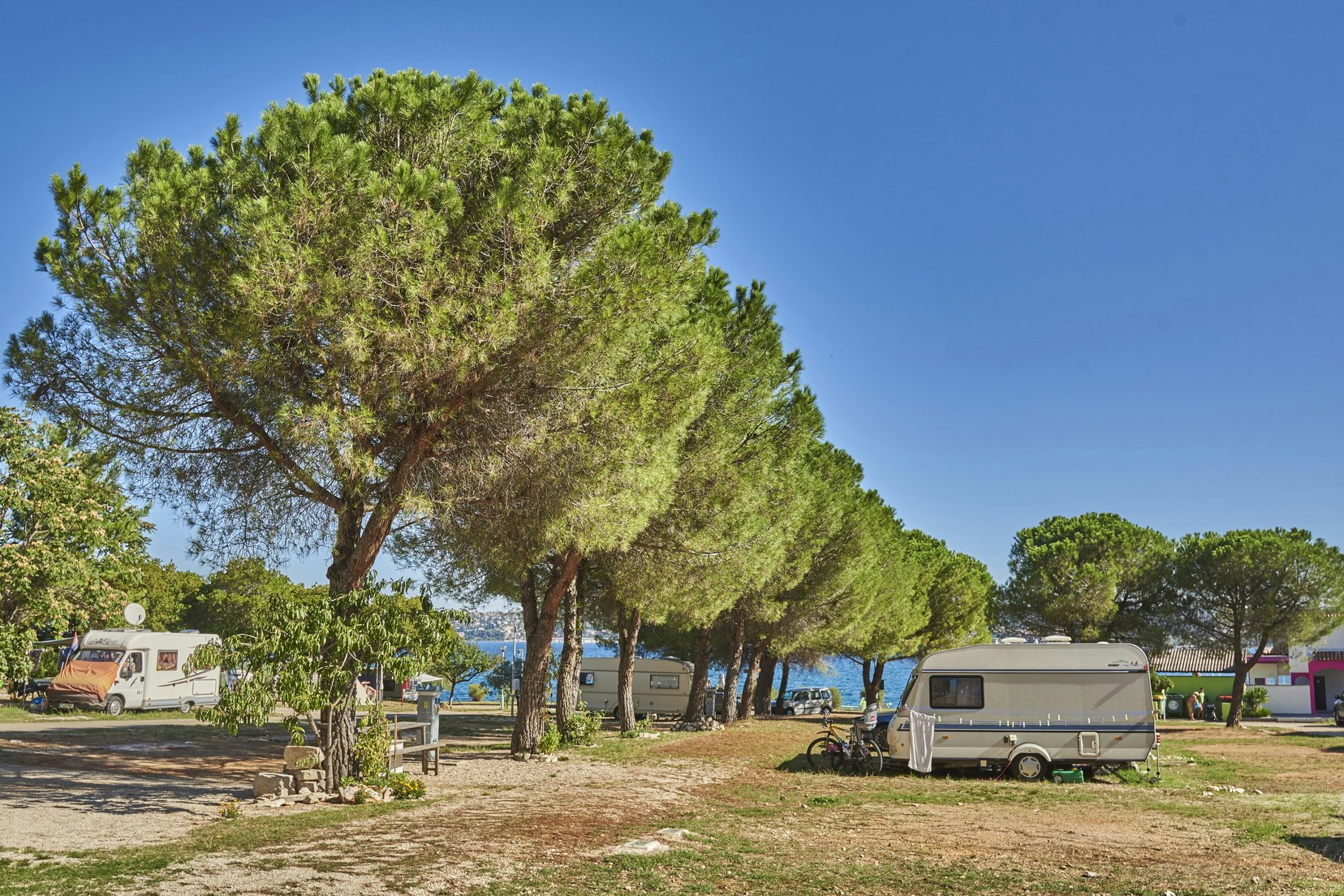 Camping Kanegra  -  Wohnwagen- und Zeltstellplatz zwischen Bäumen auf dem Campingplatz