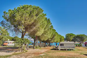 Camping Kanegra - Wohnwagen- und Zeltstellplatz zwischen Bäumen auf dem Campingplatz