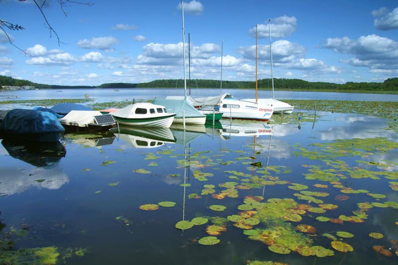 FKK Ferienidyll am Rätzsee - Liegeplätze für Boote auf dem See vor dem Campingplatz