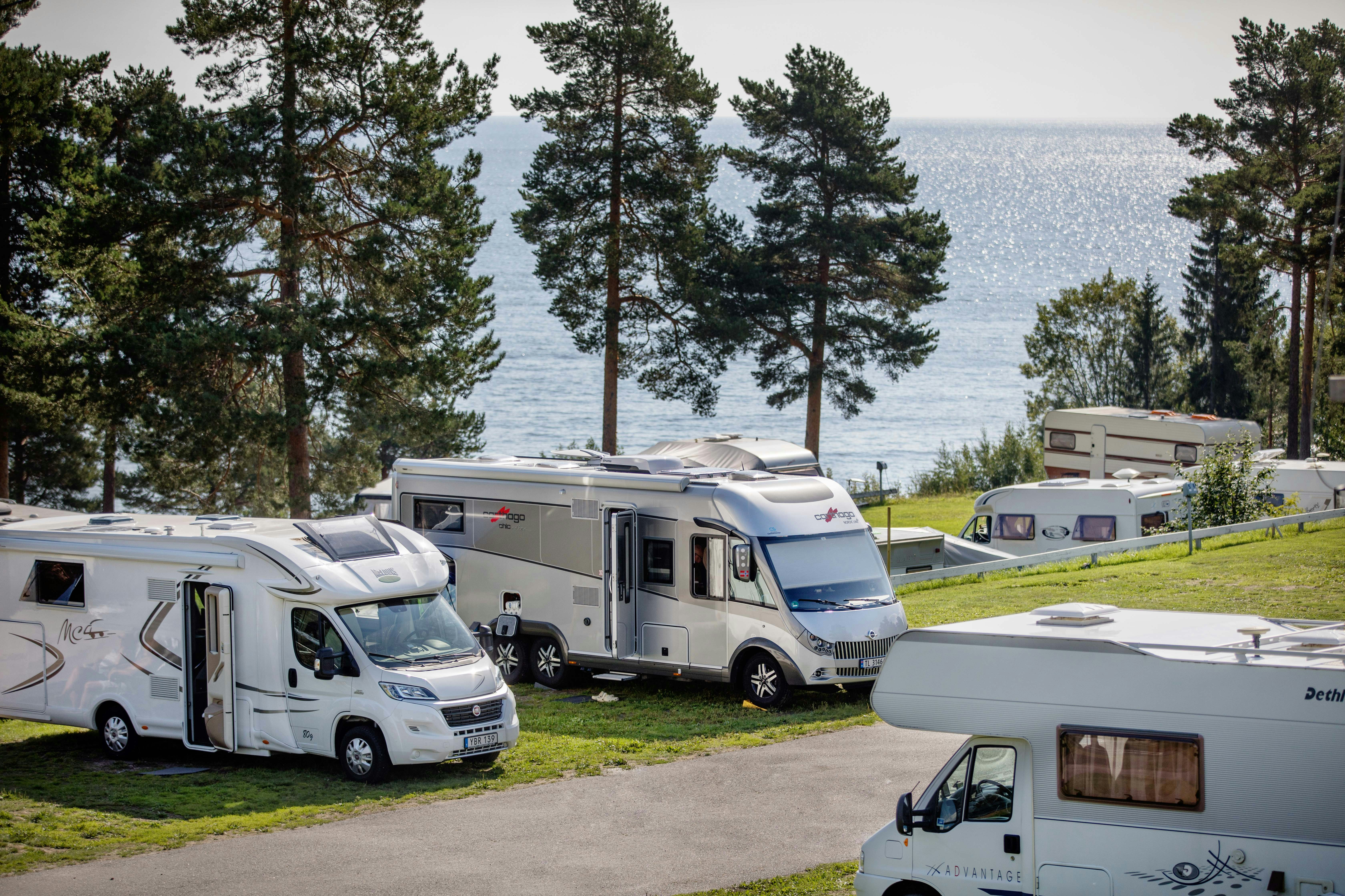Wohnmobile auf einem Campingplatz zwischen Kiefern, mit Blick auf das Meer und einen gepflasterten Weg.