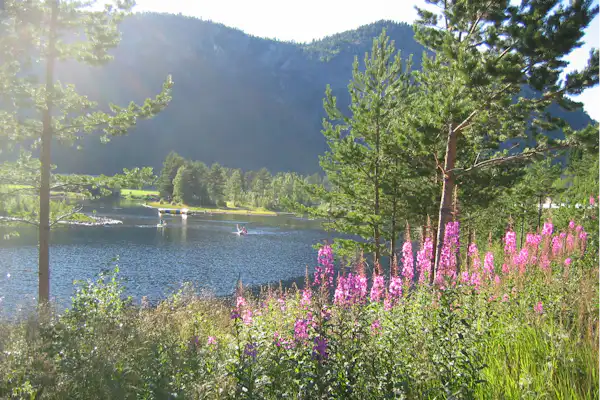 Flateland Camping