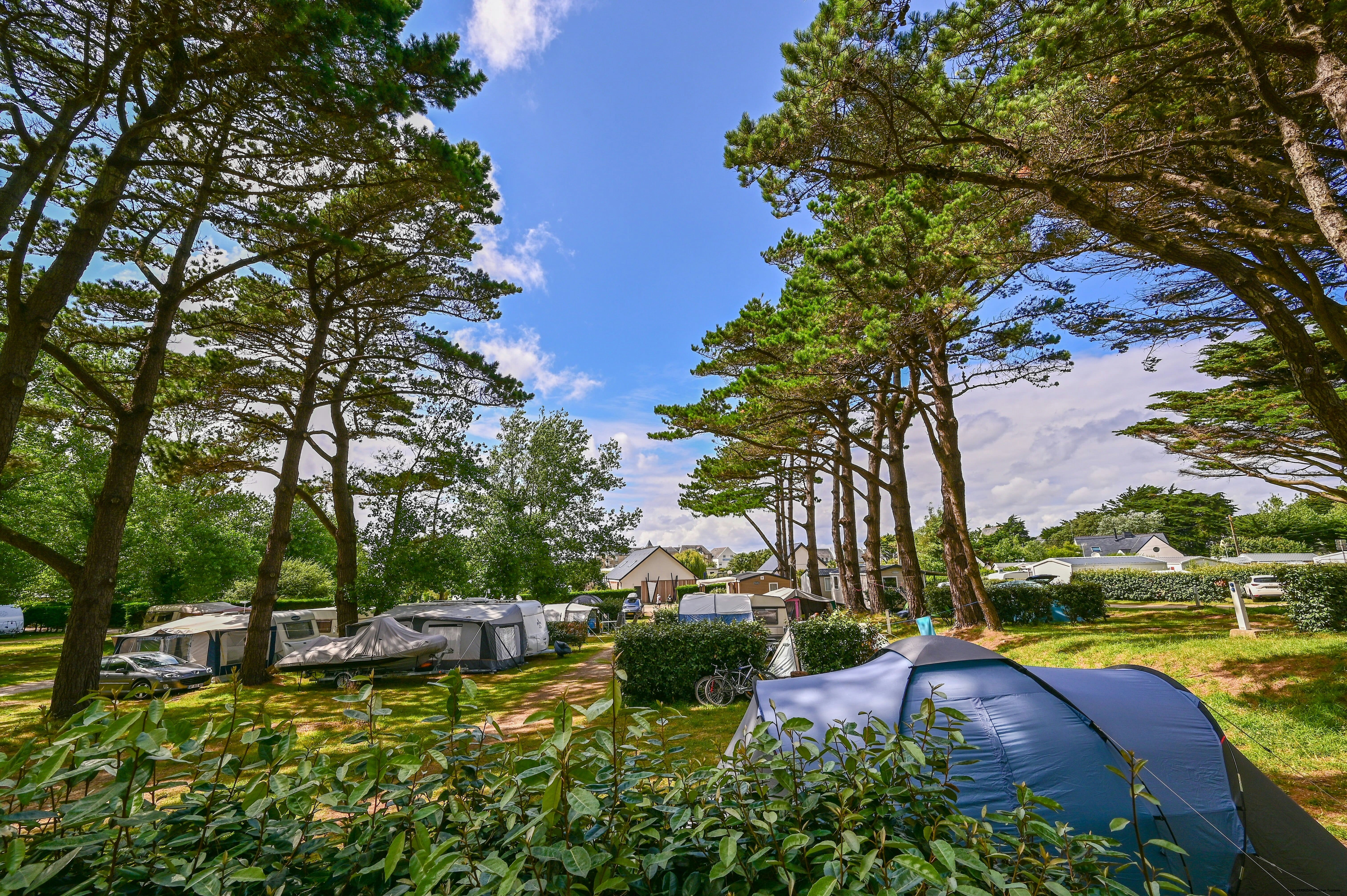 Camping Le Relais de l'Ocean - Standplätze zwischen den Bäumen auf dem Campingplatz