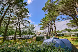 Camping Le Relais de l'Ocean - Standplätze zwischen den Bäumen auf dem Campingplatz