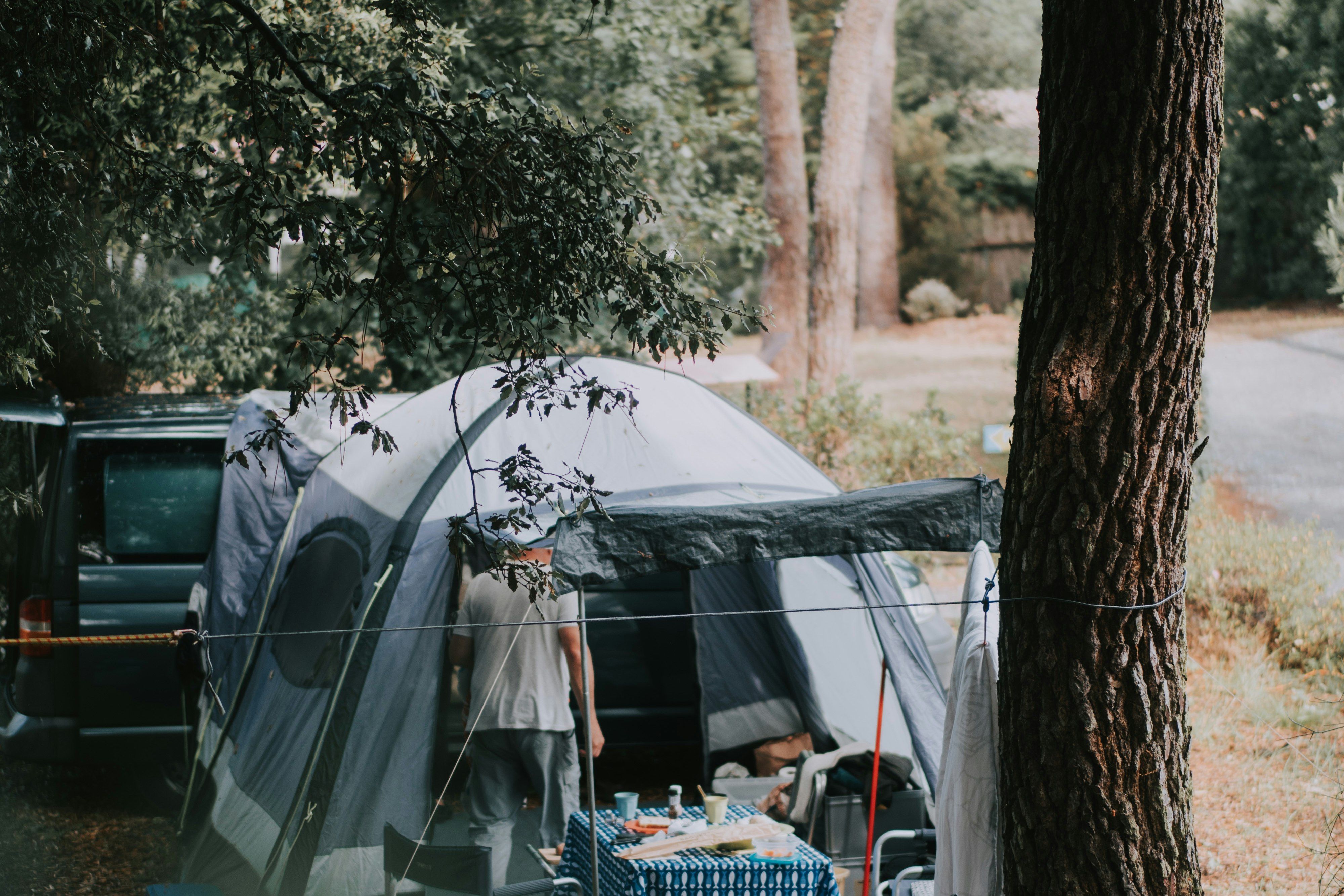 Camping Paradis des Pins - Soulac - Zeltplatz zwischen Bäumen und kleinen Sträuchern