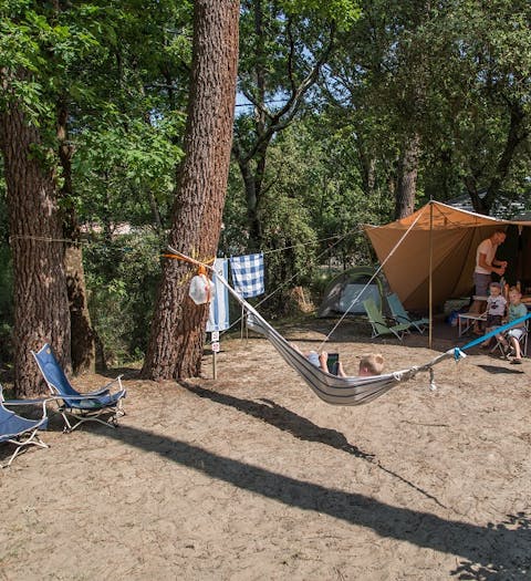 Camping Paradis Pins Soulac