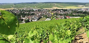 Camping Des Platanes