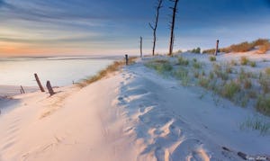 Flower Camping La Canadienne