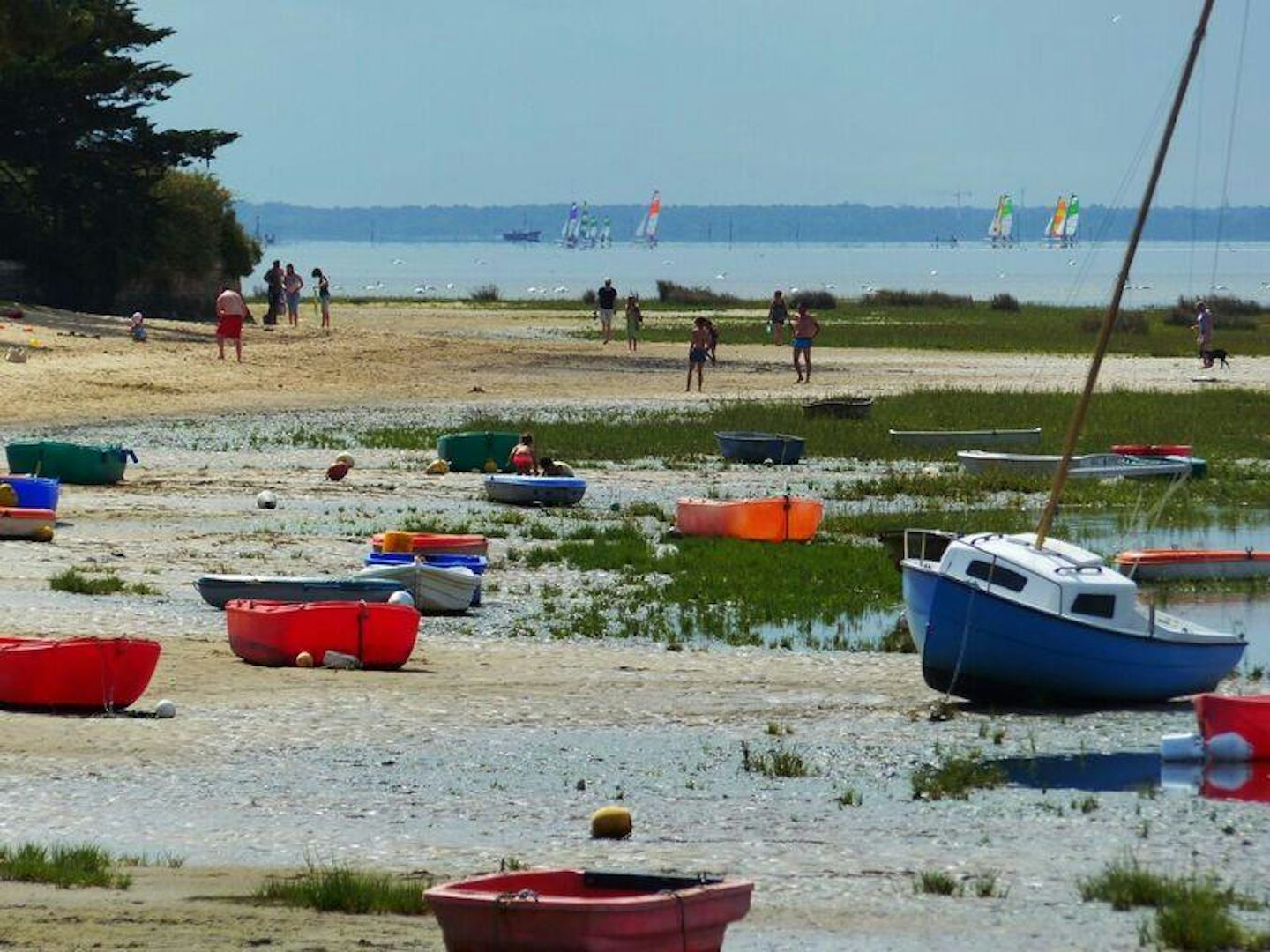 Flower Camping La Canadienne