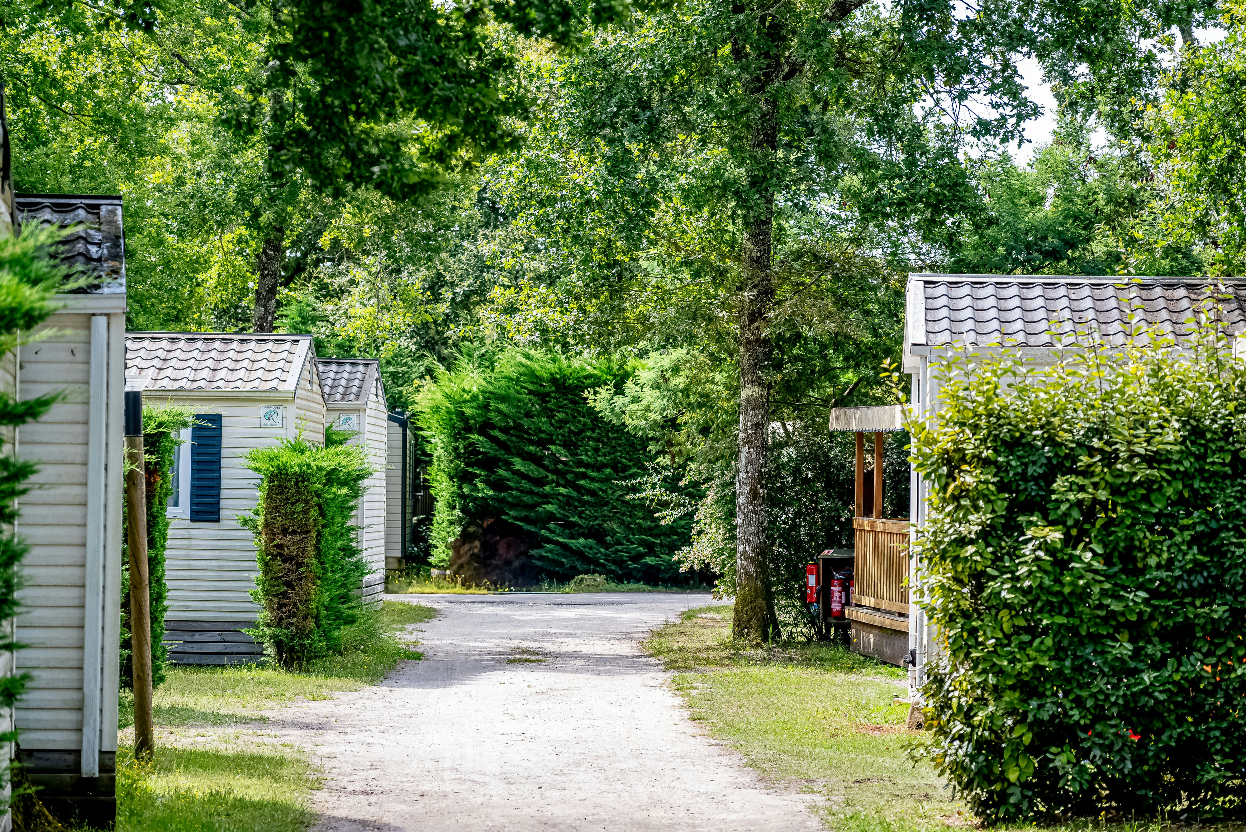 Flower Camping La Canadienne