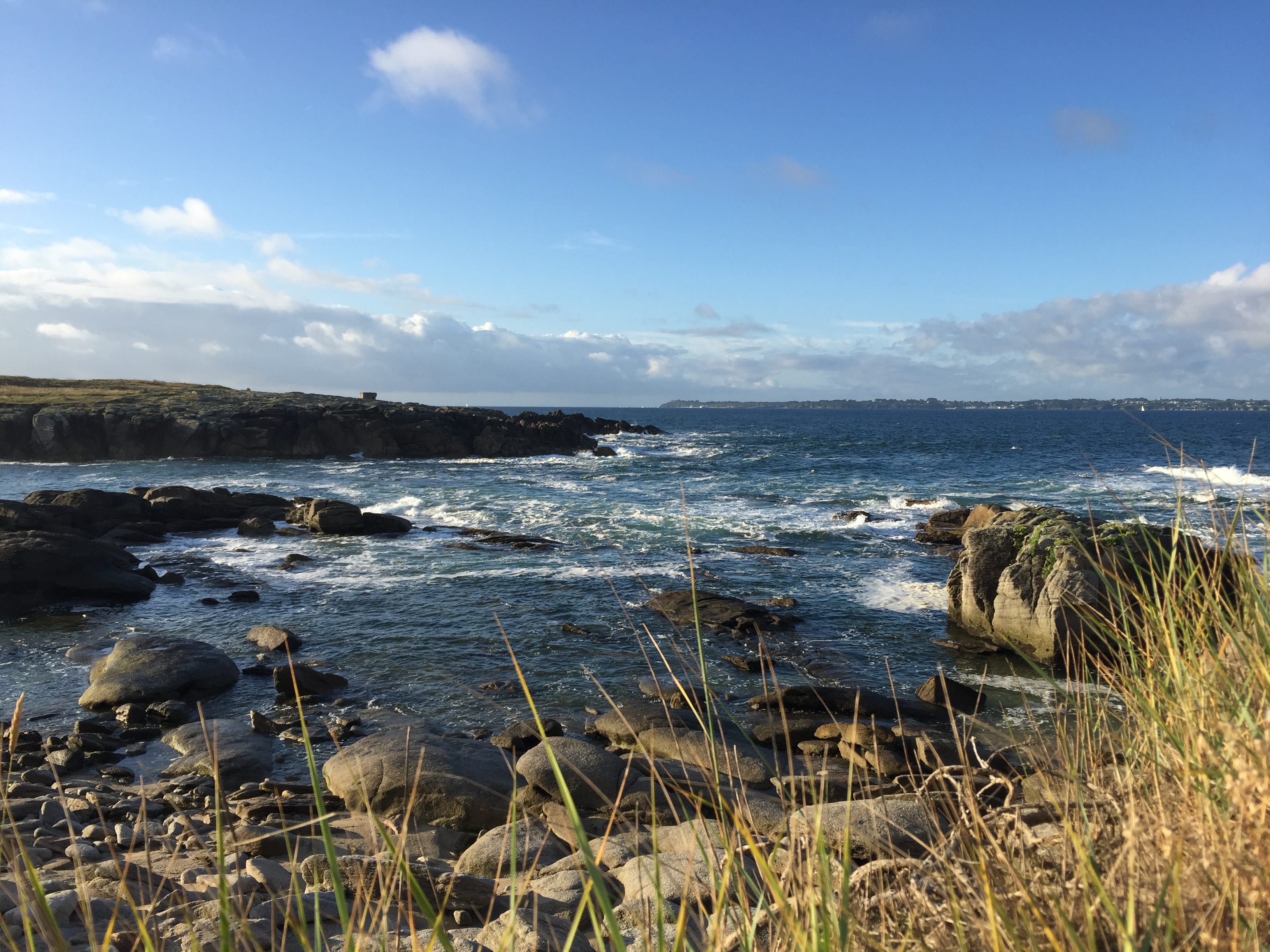 Flower Camping La Pointe du Talud