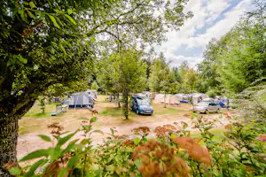 Flower Camping La Sténiole - Stellplätze auf dem Campingplatz