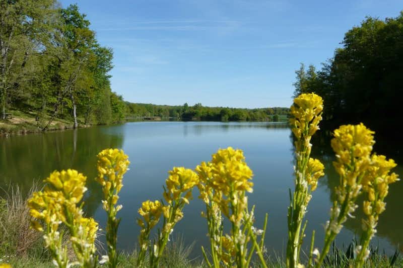 Flower Camping Lac aux Oiseaux - Seeblick mit Blumen