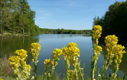 Flower Camping Lac aux Oiseaux