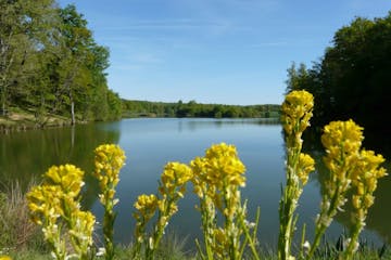 Flower Camping Lac aux Oiseaux