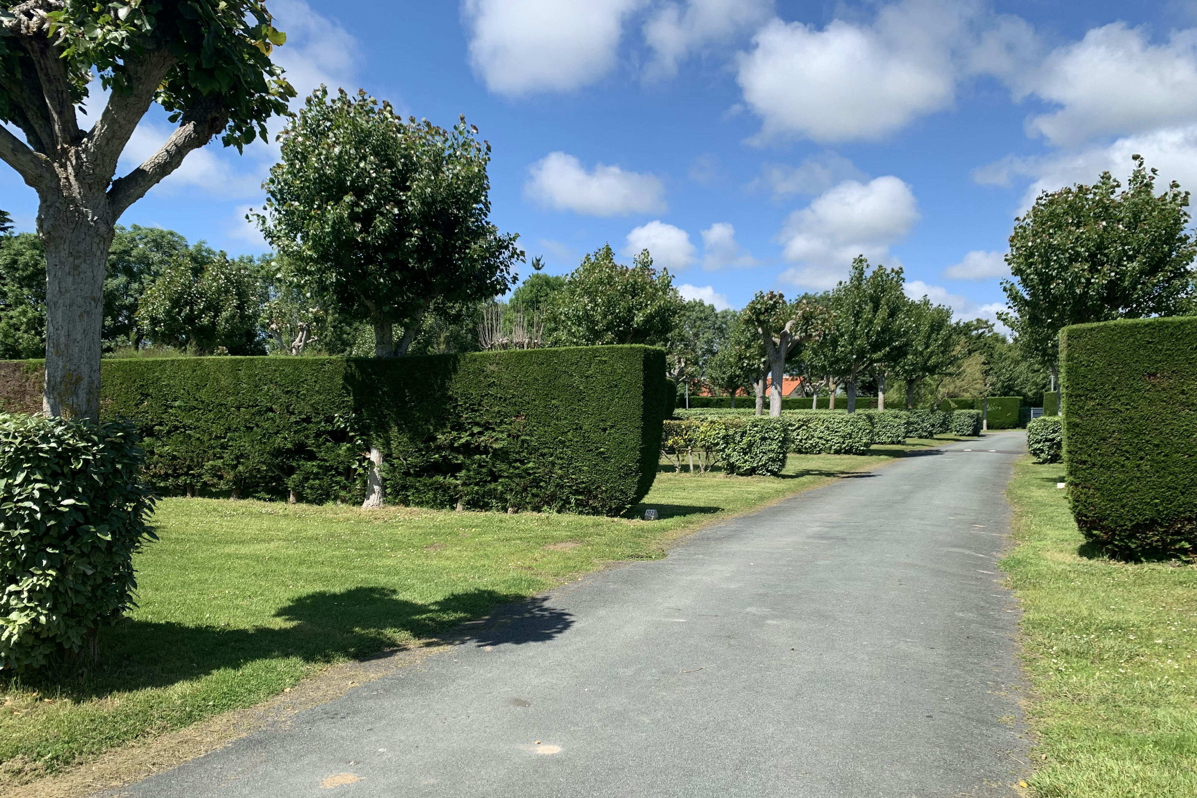 Camping Plein Sud - Parzellierte Standplätze auf dem Campingplatz
