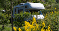 Camping  Le Pontet - Wohnmobil- und  Wohnwagenstellplätze auf der Wiese