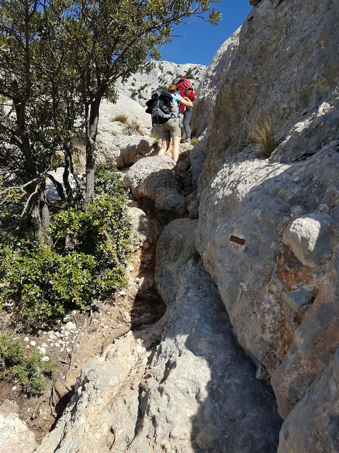 Flower Camping Les Gorges de l'Aveyron