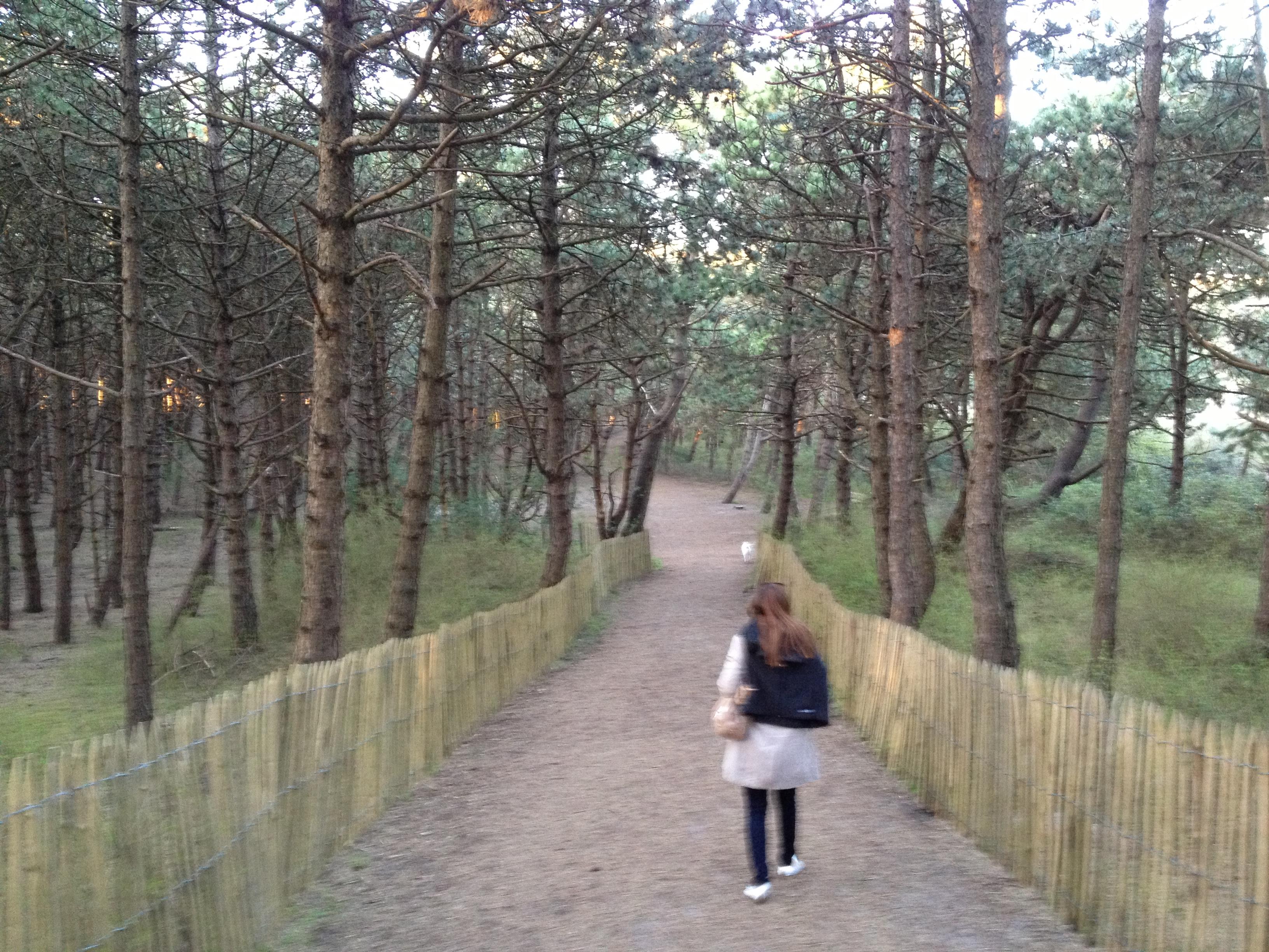 Camping Les Vertes Feuilles