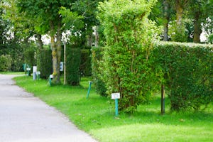Flower Camping Les Vertes Feuilles - Stellplätze an einer Straße auf dem Campingplatz