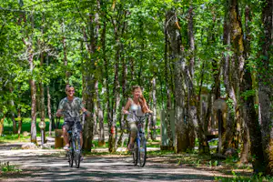 Zwei Radfahrer auf dem Weg im Wald zwischen hohen Bäumen, Campingurlaub mit Fahrrädern.