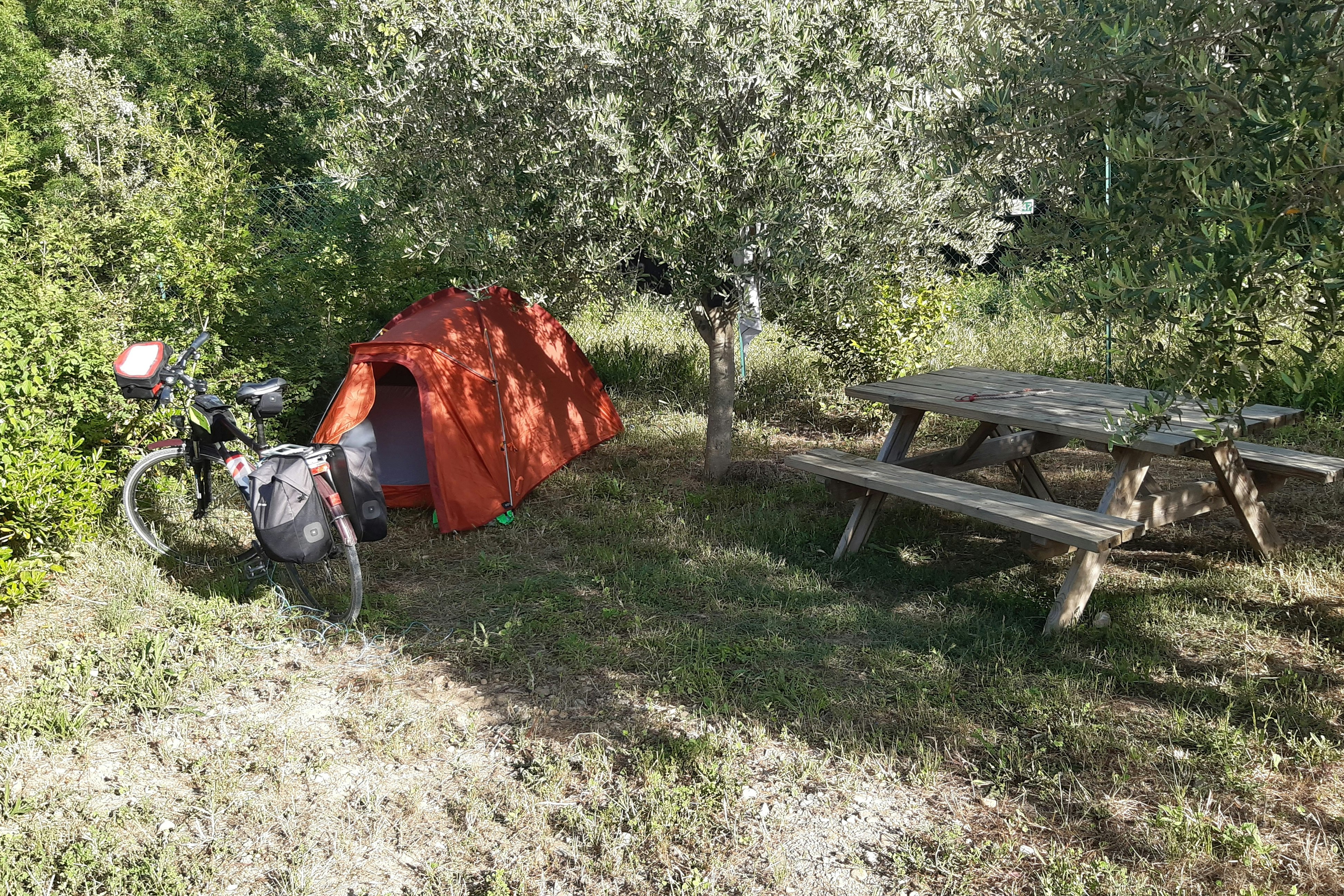 Flower Camping Olivigne - Zelt neben Sitzecke auf grüner Wiese umgeben von Bäumen