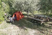 Flower Camping Olivigne - Zelt neben Sitzecke auf grüner Wiese umgeben von Bäumen