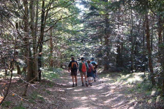 Flower Camping Saint-Amand