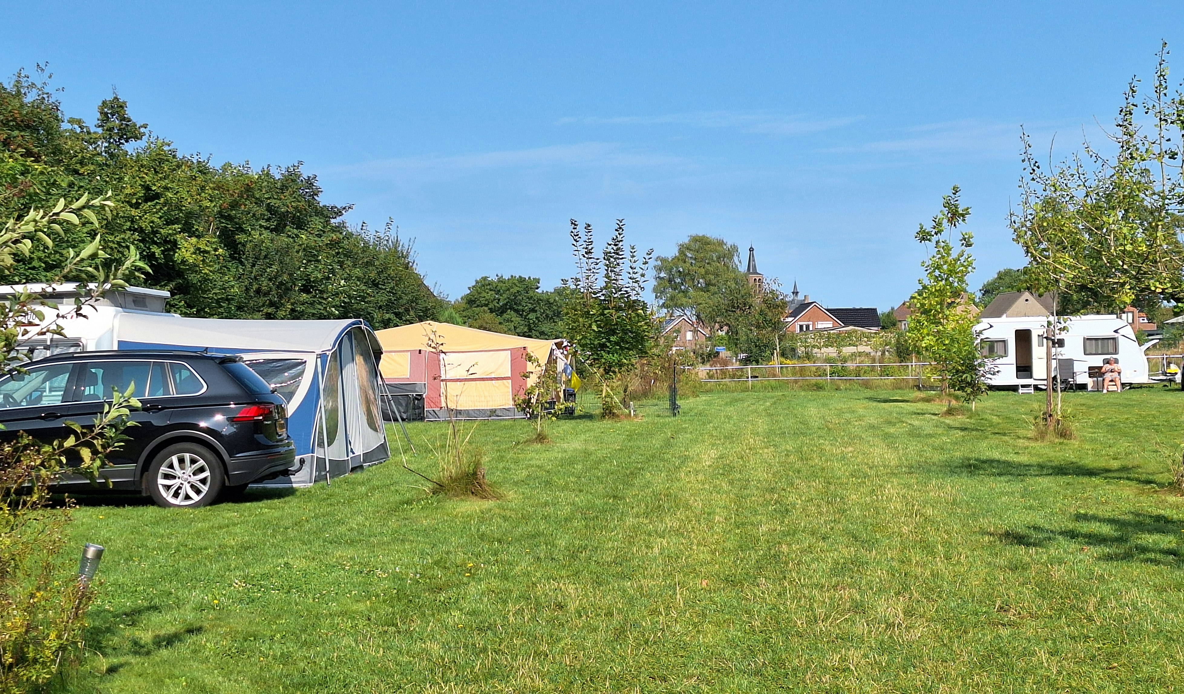 Forest Camp - Standplätze auf dem Campinglatz