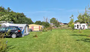 Forest Camp - Standplätze auf dem Campinglatz